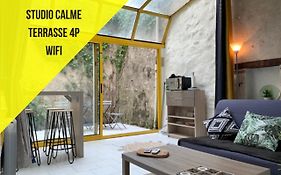 Studio N5 Terrasse Hypercentre